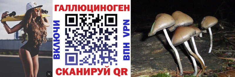 Галлюциногенные грибы GOLDEN TEACHER  Пятигорск 